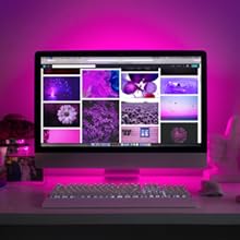monitor backlights