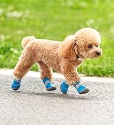 dog shoes for small dogs