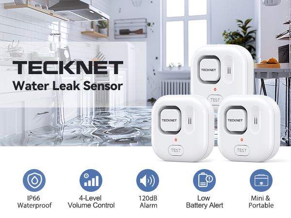 Water Leak Detectors for Home