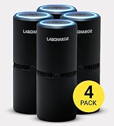 LabCharge Small Ionic Air Purifier for Home & Bedroom