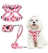 PUPTECK No Pull Dog Harness and Leash Set Reflective No Choke Step in Puppy Halter for XS Small a...