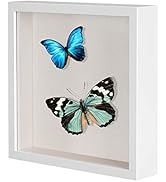 8x8 Shadow Box Picture Frame with Soft Linen Back - Metal Push Pins Included, Memory Box Display ...