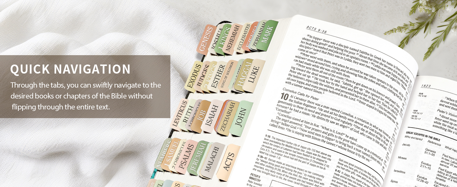 bible tabs