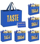 5 Senses Gift Bags for Him With Labels And Tissue Paper,12.6"X8.7"X4" Sight Smell Touch Taste Sou...