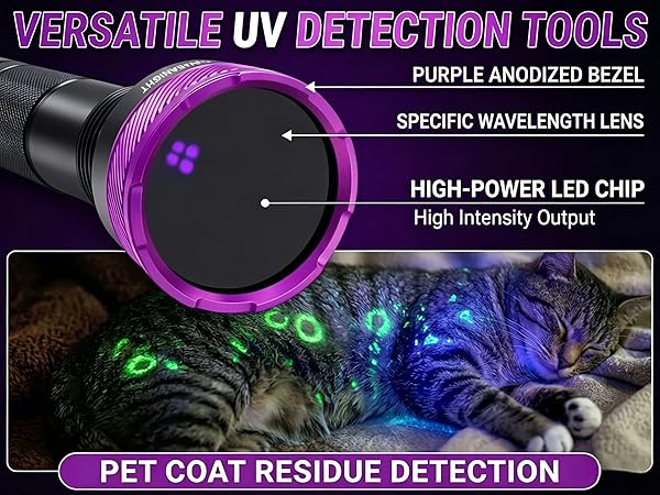 UV Flashlight