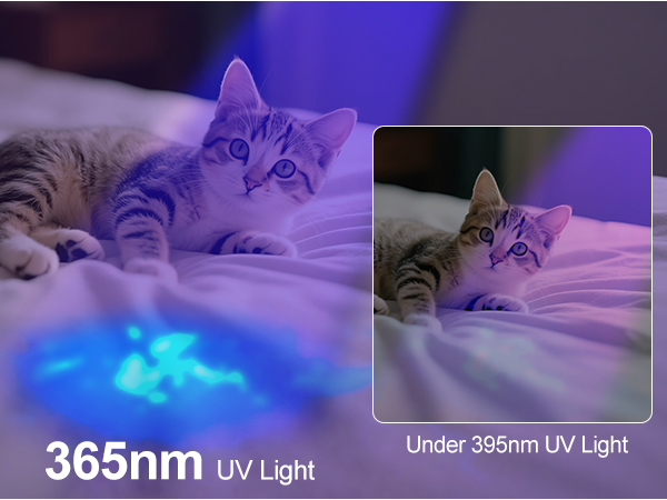 365nm black light flashlight