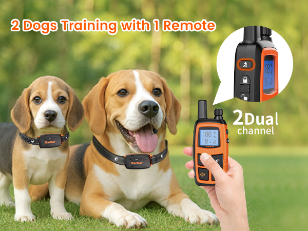 training shock collar for dogs