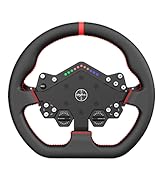 W DS racing wheel