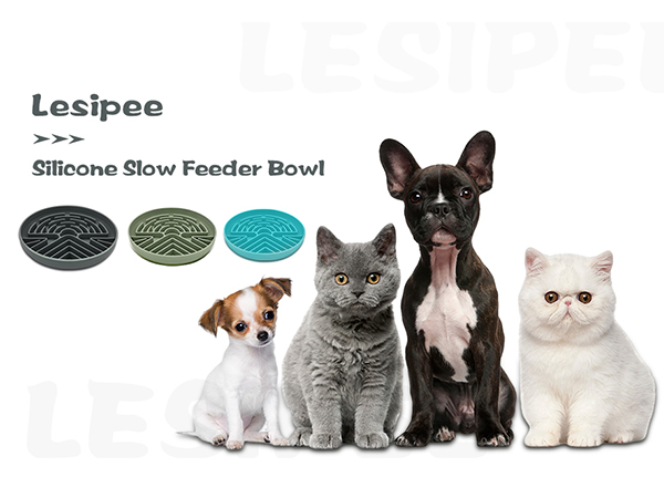 slow feeder bowl