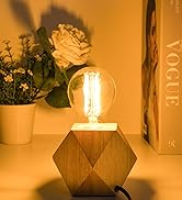 100w led bulb