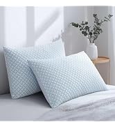 Alkyonos Shredded Memory Foam Cooling Medium Soft Bamboo Viscose Pillows King Set of 2, Adjustabl...