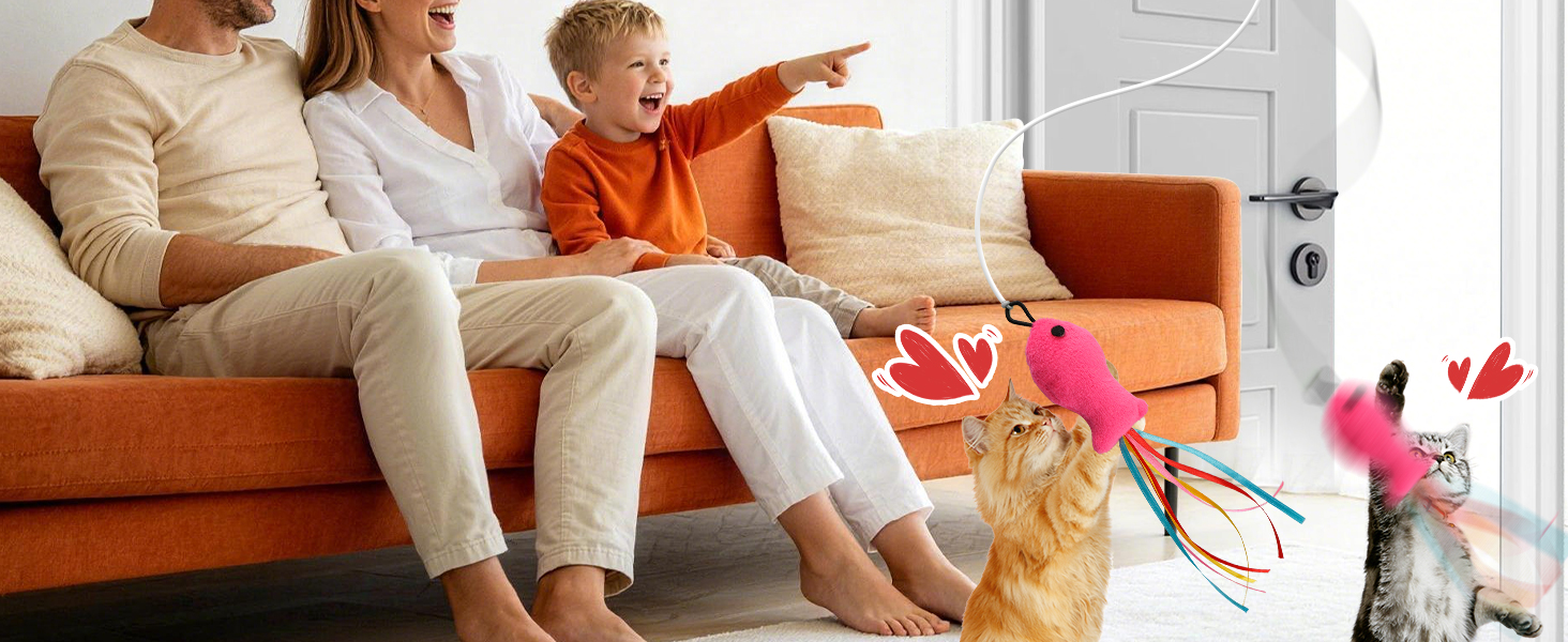 automatic cat toy