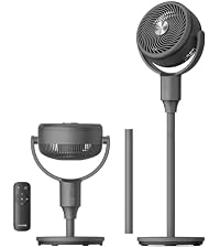 https://m.media-amazon.com/images/I/41j-QkkEZgL.__AC_SR200,225___.jpg