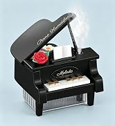 Piano Humidifier (Classic Black)