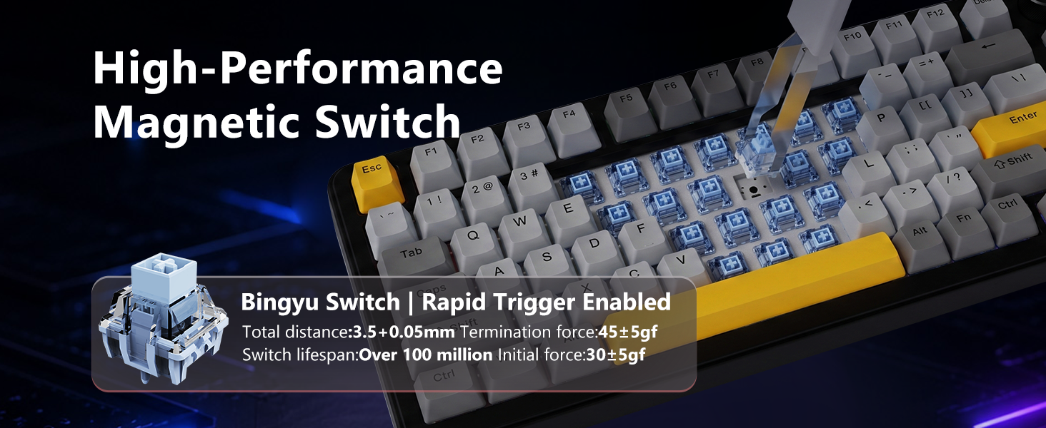Bingyu Switches