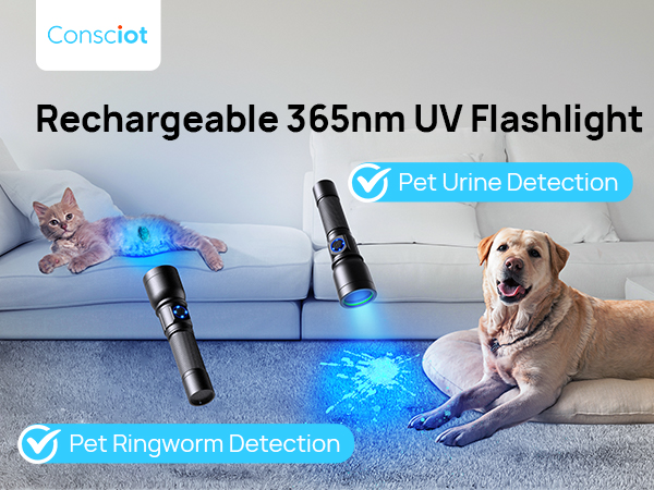 365nm uv flashlight