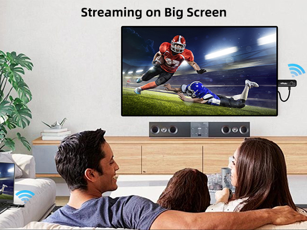 wireless video transmitter and receiver