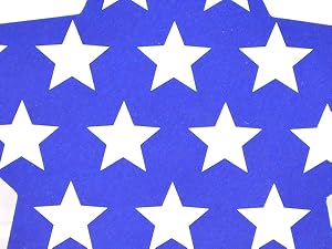 24 Pcs Patriotic Star Hanging Decorations