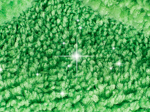 swiffer pads