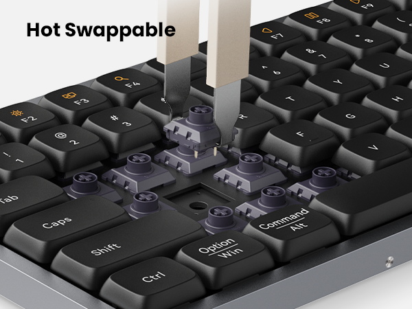 hot swappable