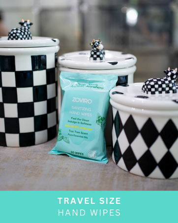 hand sanitizer wipes travel hand wipes car hand sanitizer travel size wipes hand sanitizer wipes