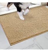 HOMEIDEAS Doormat Indoor Entrance, 32"x20", Highly Absorbent Chenille Muddy Dog Washable Mat, Non...