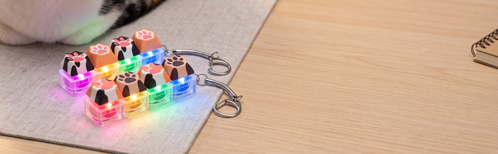 2P Cat Paw Keyboard Fidget Toy