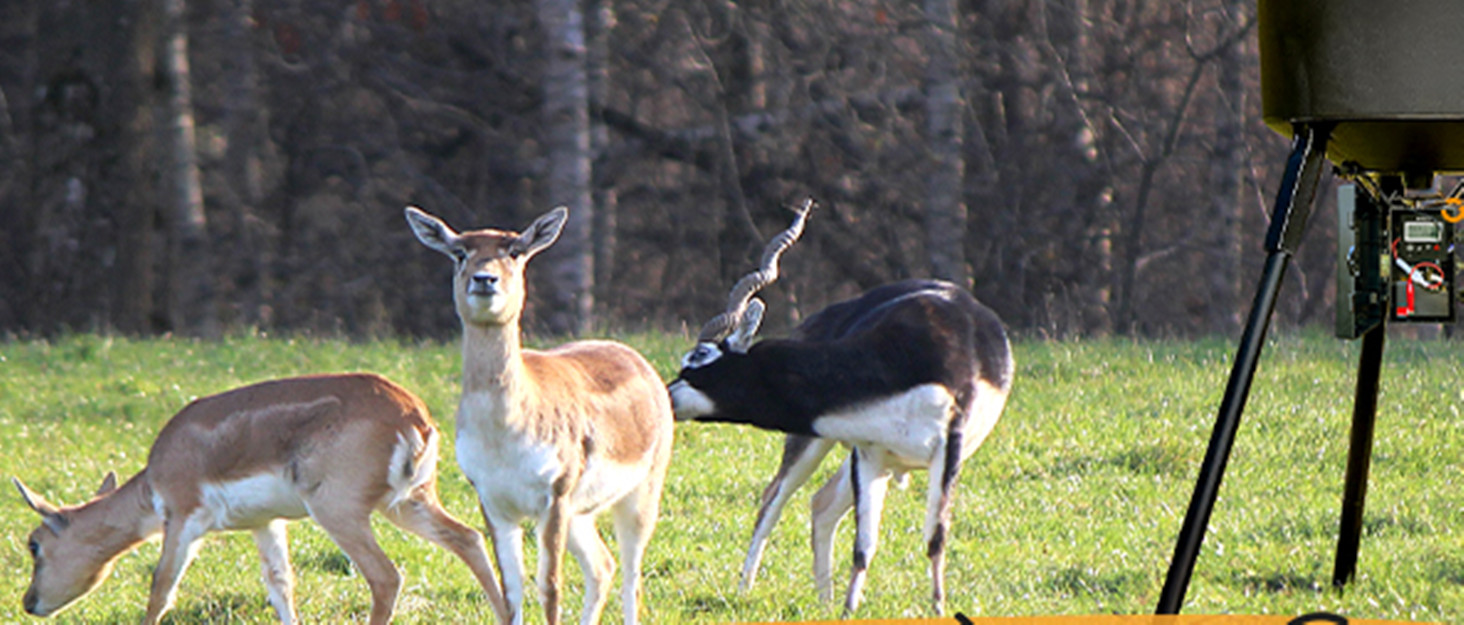 Feeder Digital Timer Deer Feeder Timer Hunting Game Digital Feeder Timer 8 Times