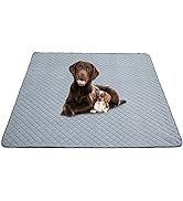 Eterish Reusable Washable Pee Pads for Dogs Large/Extra Large 36'' x 41'' 2 Pack, Absorbent Pet P...