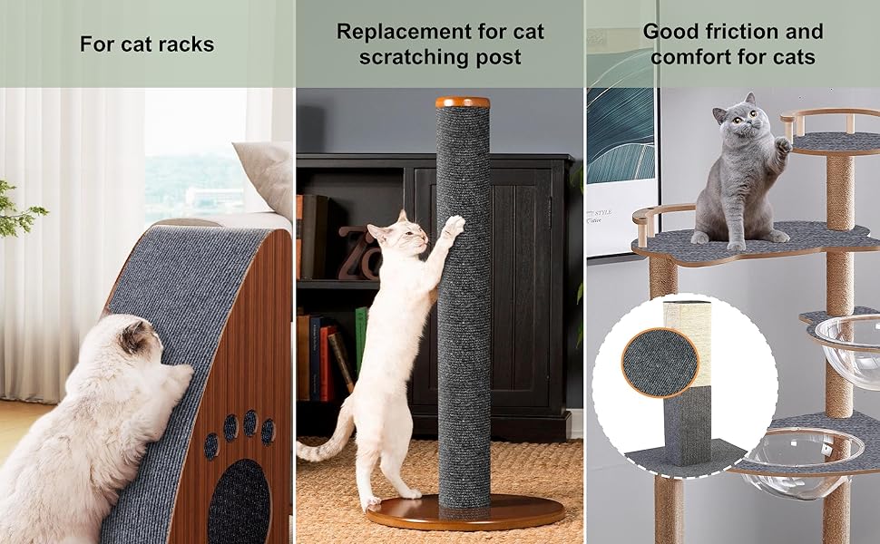 cat rug
