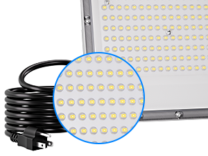 LED Outdoor Light