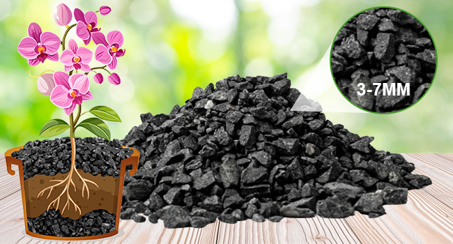 Natural Horticultural Charcoal