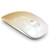 RAPIQUE Wireless Mouse,Dual Bluetooth+2.4Ghz,Type C Charging,Champagne Gold | 3-Device Switching,...