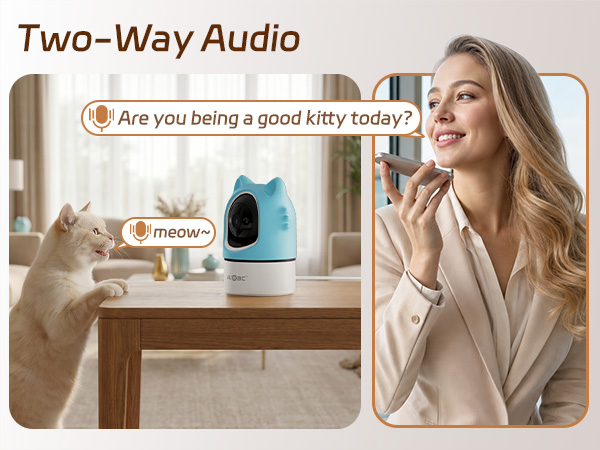 Two-Way Audio
