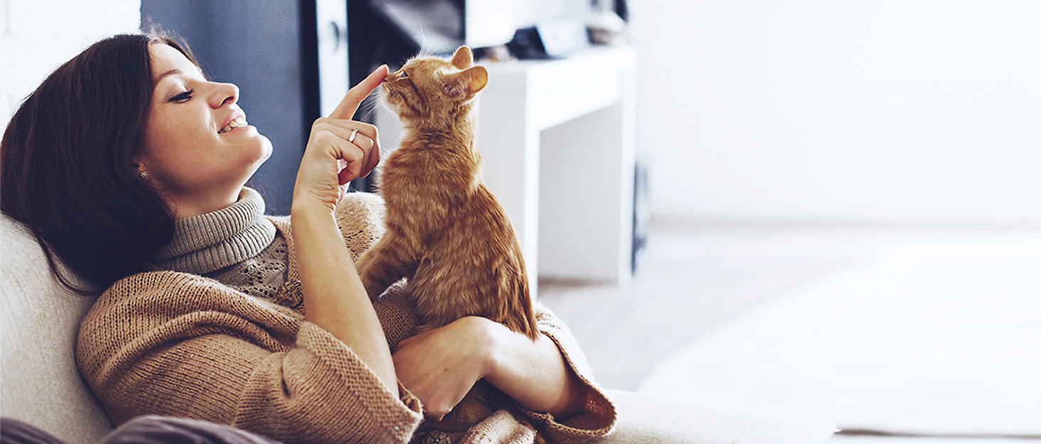 pakeway pet products