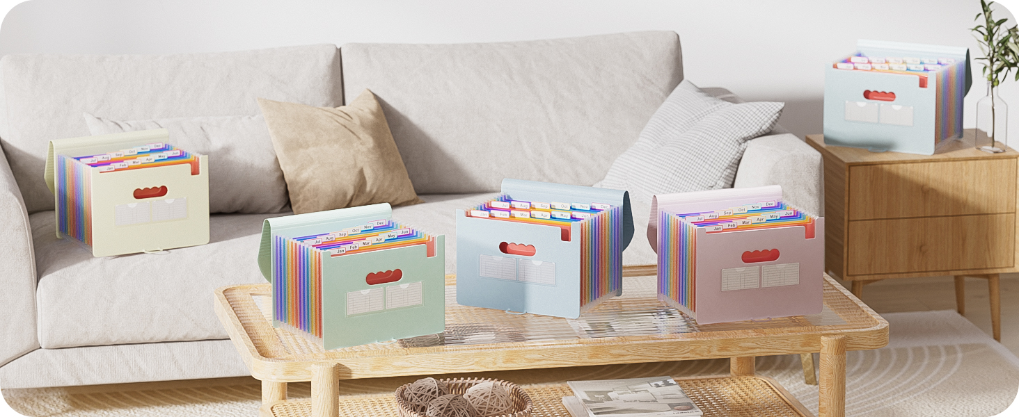 Accordion File Organizer, 12 - Pocket Expanding File Folders