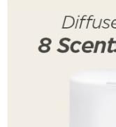 diffuesr with oils