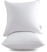 Leeden 20 x 20 Pillow Inserts (Set of 2) - Throw Pillow Inserts with 100% Cotton Cover - 20 Inch ...