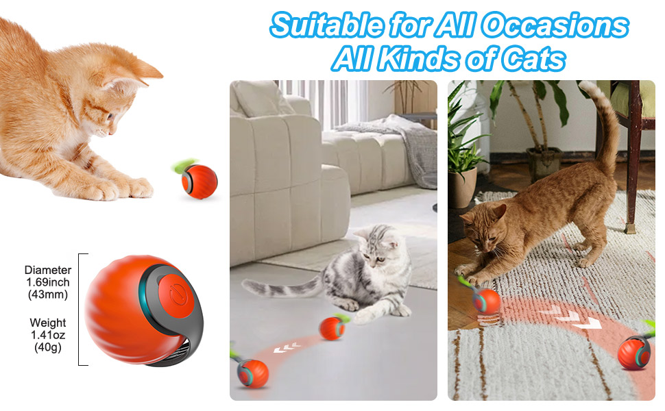 cat ball toy interactive
