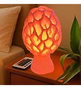 Morel Mushroom Lamp - USB Powered 15-Color Table Light with Remote & Switch - Cozy Soft Glow Nigh...