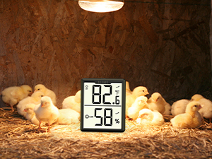 temperature and humidity monitor