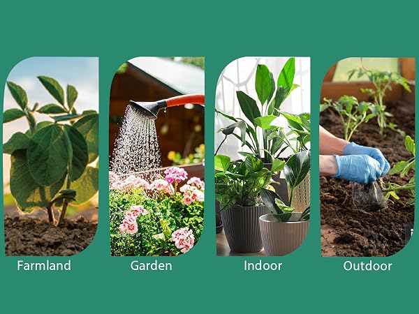 plant moisture meter