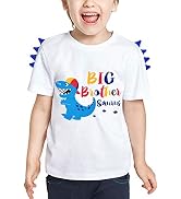 Dinosaur Big Brother Announcement T Shirt Sibling Outfits for Toddler Boys
