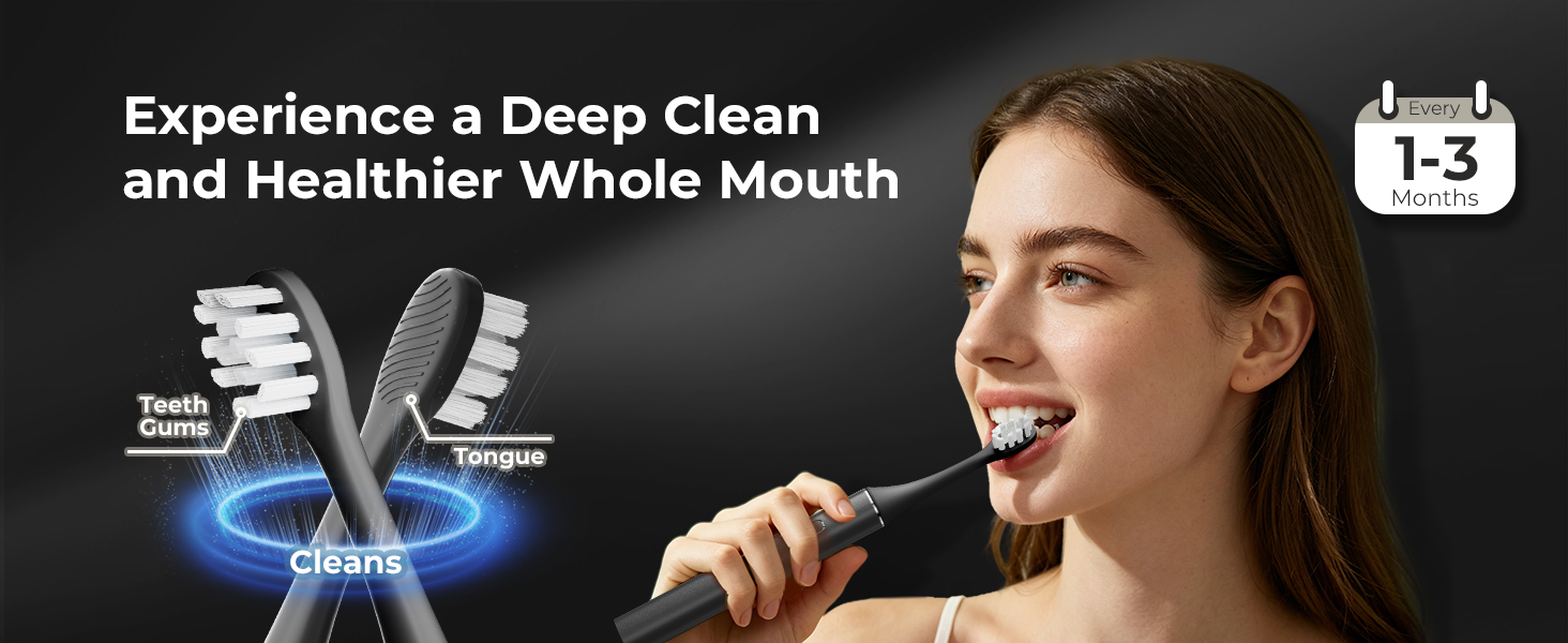 replacement toothbrush heads