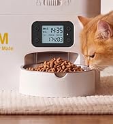 food and water dispenser for cats