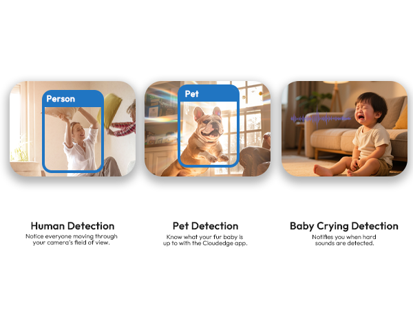 pet camera