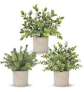 Der Rose 3 Pack Fake Plants Artificial Plants for Office Bathroom Decor | Sage green frosted euca...