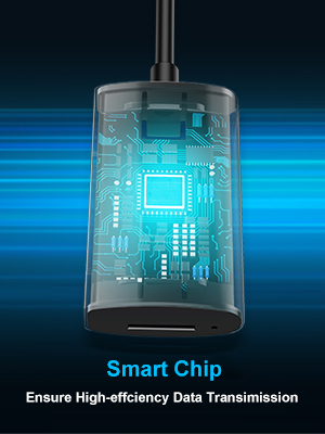 smart chip