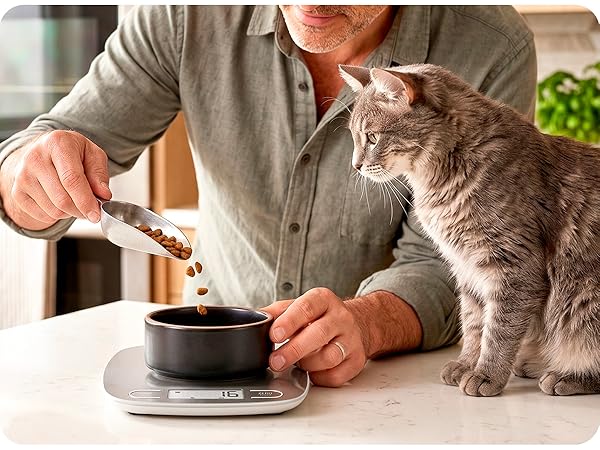 ? greater goods stainless steel kitchen scale man portioning cat food with cat watching