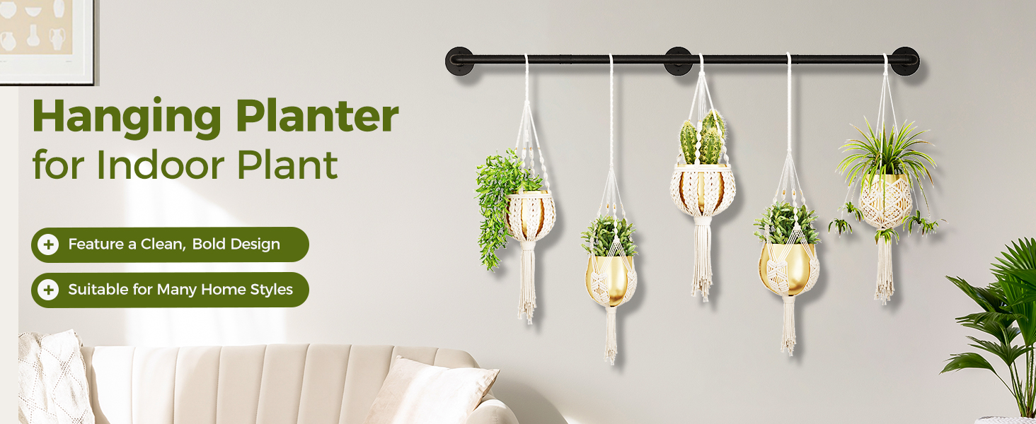 Plant Hanger Indoor